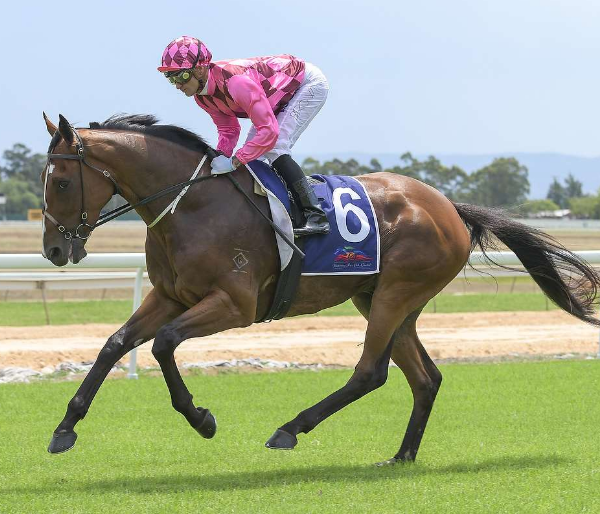 Trainer Claims One Of The Toughest Horses I Ve Had Hawkesbury Mon Racing New South Wales