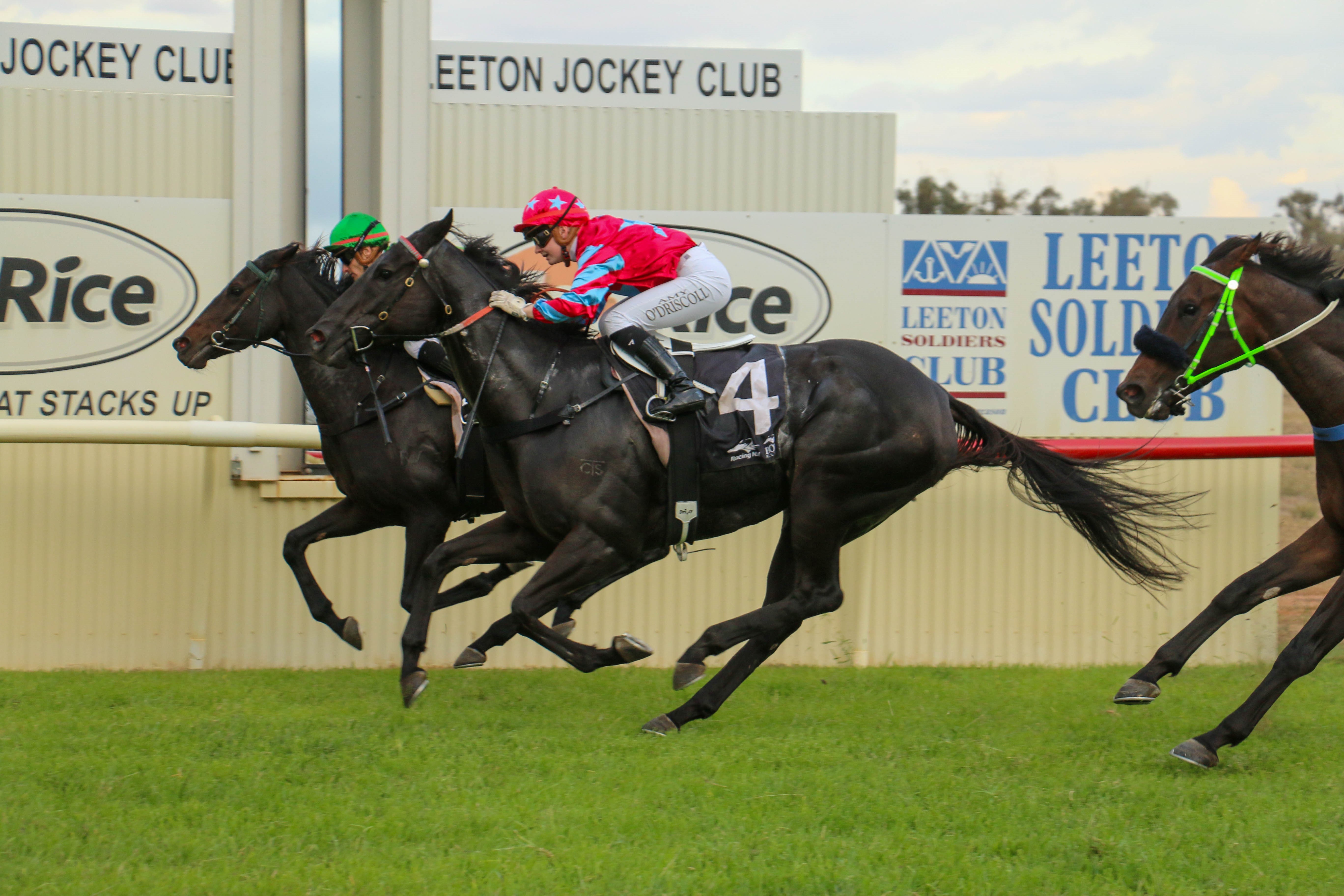The Mayfair Hotel collects the victory in the Coprice Leeton Cup in a popular victory for the local coach
