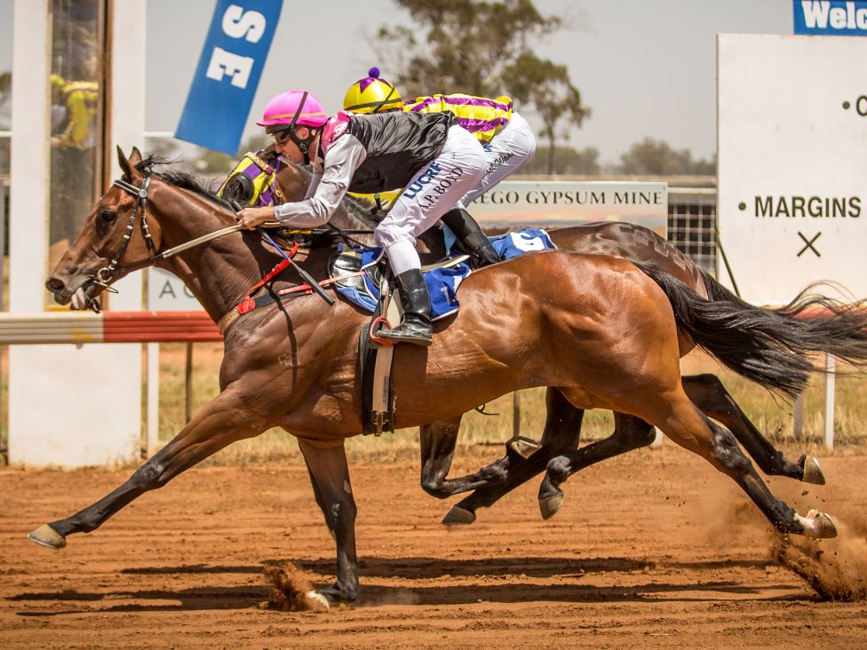 2020 NSW Picnic Champion Series Racing New South Wales