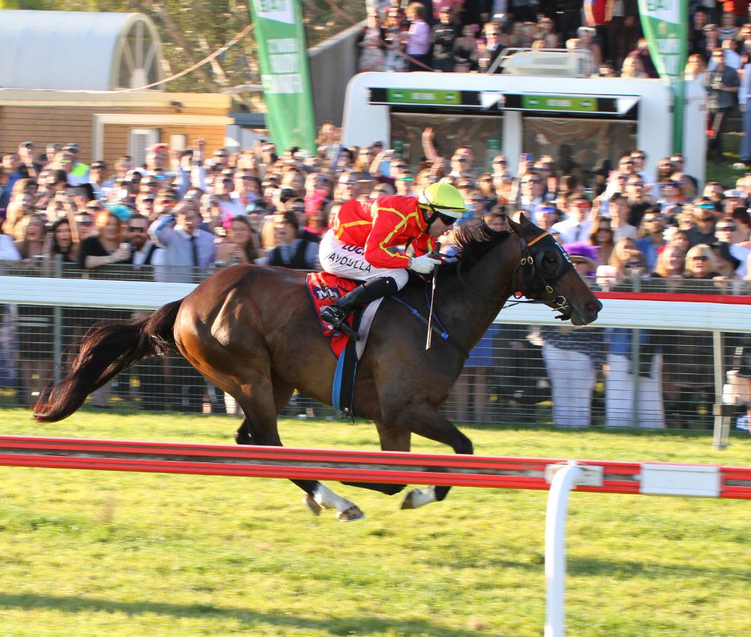 2020 Country And Provincial Championships Series Racing New South Wales